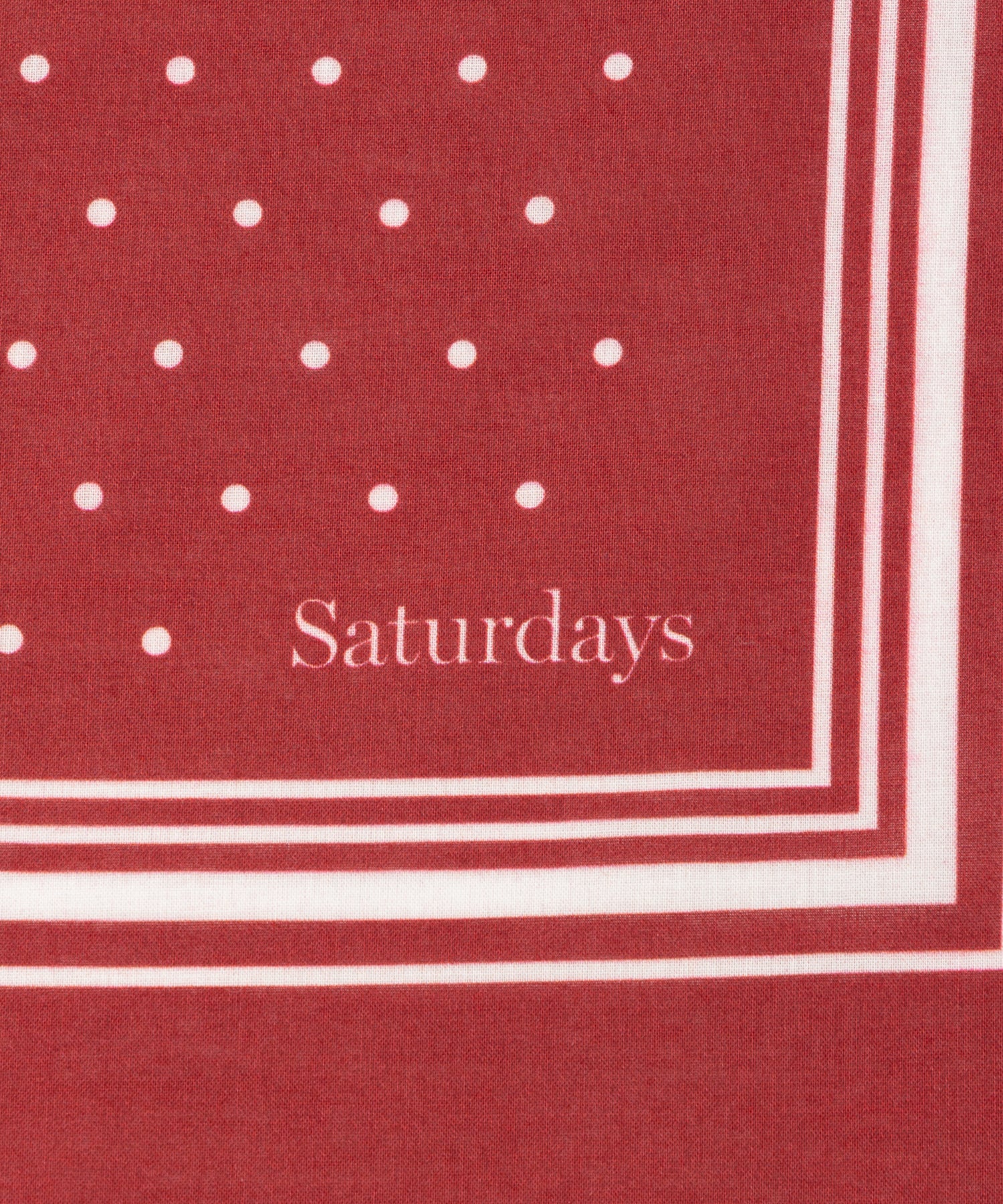 Saturdays NYC SNYC Bandana in Wine